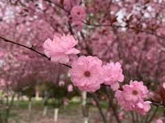 -滨湖塘西河公园