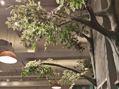 -菌乡缘·野生菌蒸汽鱼火锅(江边夜市店)