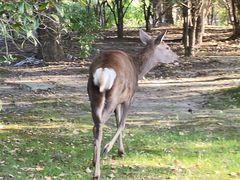 -养云安缦吧THE BAR