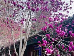 -潭柘寺景区