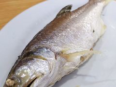-长平肥姐白粥·海鲜打冷