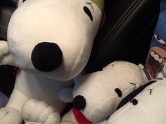 -牧歌KTV(观前店)