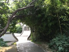 -王家大院