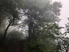 -阳台山自然风景区