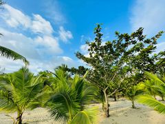 -海南热带雨林国家公园吊罗山景区