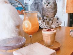 -平行世界·猫咖(首经贸店)