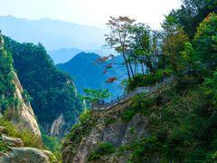 -洛阳白云山景区