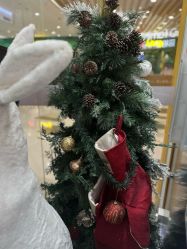 -海马体家庭照相馆(杭州萧山万象汇店)