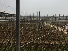 景点-迪茵湖田家舍生态农场