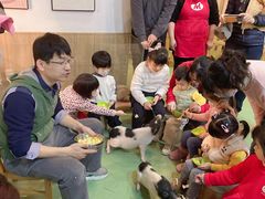 -藦茜花园宠物主题亲子互动体验馆(国顺东路店)