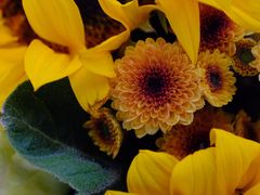 -那些花儿鲜花店(小寨店)