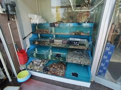 -北戴河庆山饭店·海鲜砂锅粥(北戴河黑石路店)