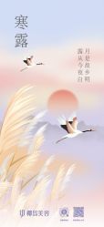 -YESIDO椰岛美容