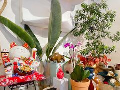 -PlantsEatery·植物食堂(REX春熙店)
