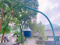 -野蔓果·山野菜(西湖景区·龙井茶田店)