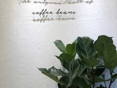 -red donkey coffee
