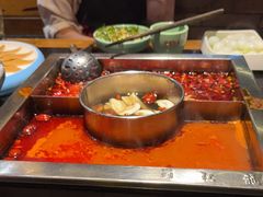 -蜀江龙火锅(339店)