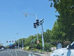 -昆山城市生态森林公园