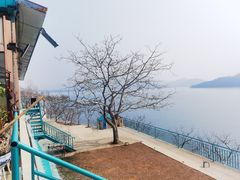 -望湖烤鱼