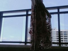 -金融街·金禧丽景海公园度假酒店
