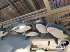 -宜家家居(高新商场店)