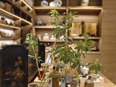 -茑屋书店(天目里店)