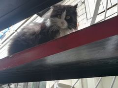 -EATALIA意塔利意式餐厅(鼓楼店)