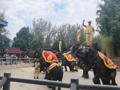 -云南民族村
