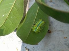 -镇江市南山风景名胜区竹林景区