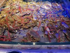-澜悦港海鲜体验主题餐厅