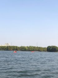 -剑鱼皮划艇俱乐部(石湖基地)