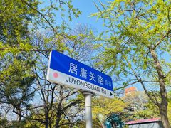 -八大关景区
