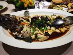 -宴小馆·小海鲜青岛菜(五四广场店)