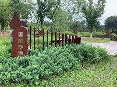 -东郊湿地公园