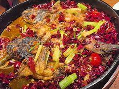 -老板恋上鱼(高新万达店)