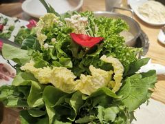 -小饕荟养生火锅(仁和·熙春郡店)