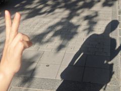 -廊坊市自然公园