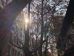 -沈妈砂锅(光华村店)