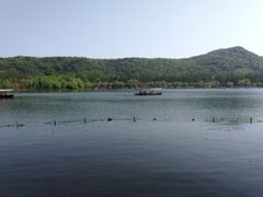 -西湖外事游船(花港观鱼码头)