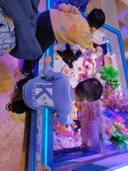 -卡通尼乐园(银泰店)
