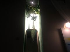 -泰乐道·SPA·按摩·足道(坡子街店)