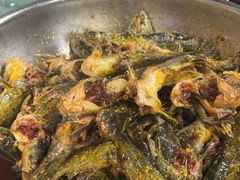 -金海椒罐罐鲢鱼(东方桂苑店)