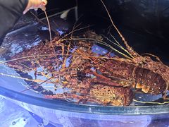 -金翠皇宫粤菜·点心·海鲜(科技园店)