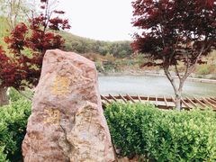 -北马山庄植趣咖啡