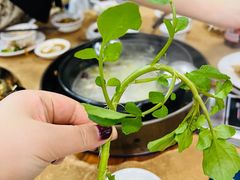 -濠轩阁特色生蚝火锅(水湾路店)