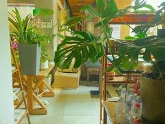 -谷咖啡·鲜花绿植花园餐厅