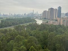 -深圳富临大酒店