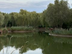-燕郊植物园