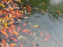 -成都动物园