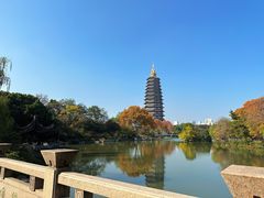 -红梅公园
